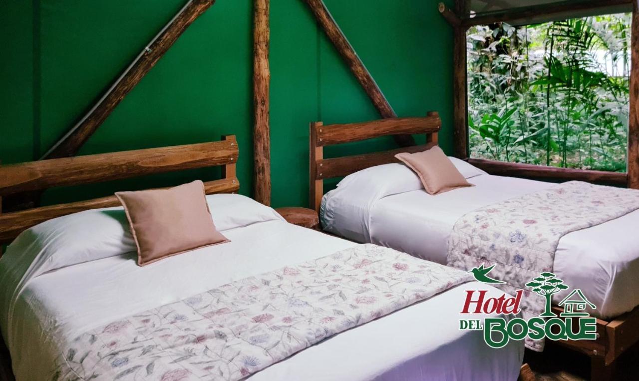 Hotel Del Bosque Río Cuarto Εξωτερικό φωτογραφία